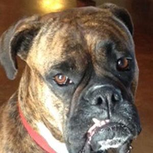 Meet your Posher, Gregory